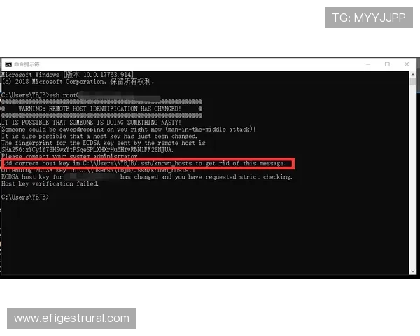 遇到登录问题怎么办？vsport官网登录常见问题及解决方案